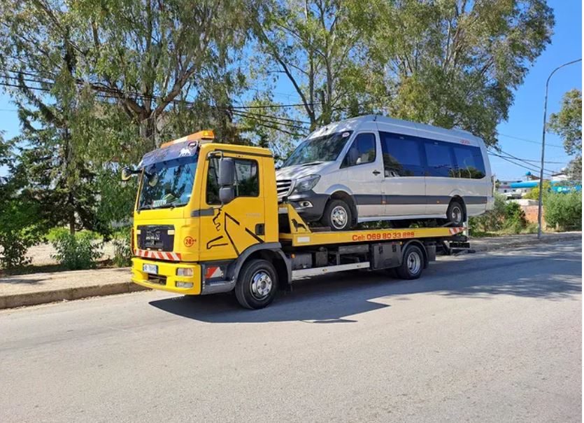 Karrotrec-lushnje-Ani1