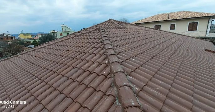 ____cati-druri-12