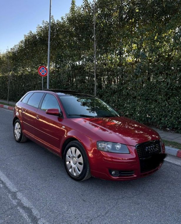 _auto-fresku-mania-qira-shitje-11 _auto-fresku-mania-qira-shitje-11
