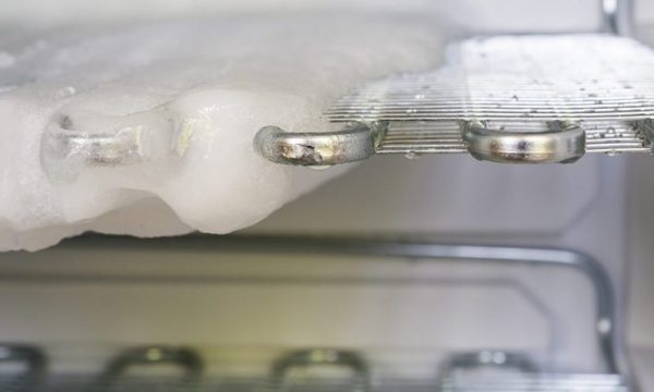 frozen freezer 1024x683 1 780x439 1 600x360