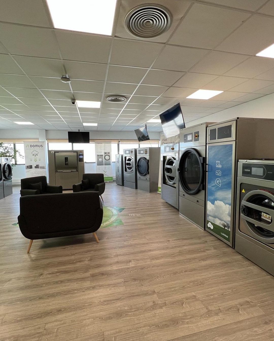 ___________________LAVANDERI-SAUK-KIMIK-11