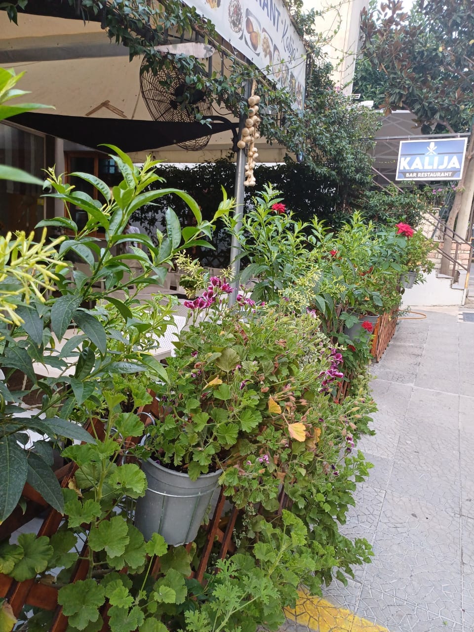 __RESTORANT-SARANDA-01