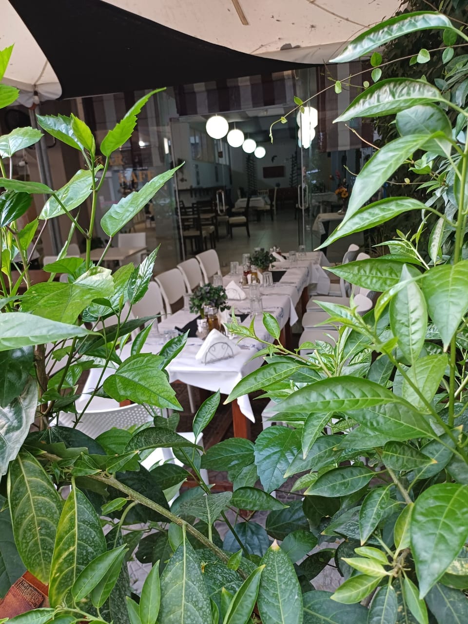 __RESTORANT-SARANDA-12