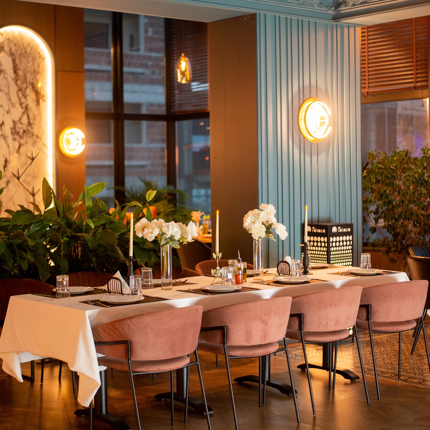 ______________________________bar-piceri-tirane-11