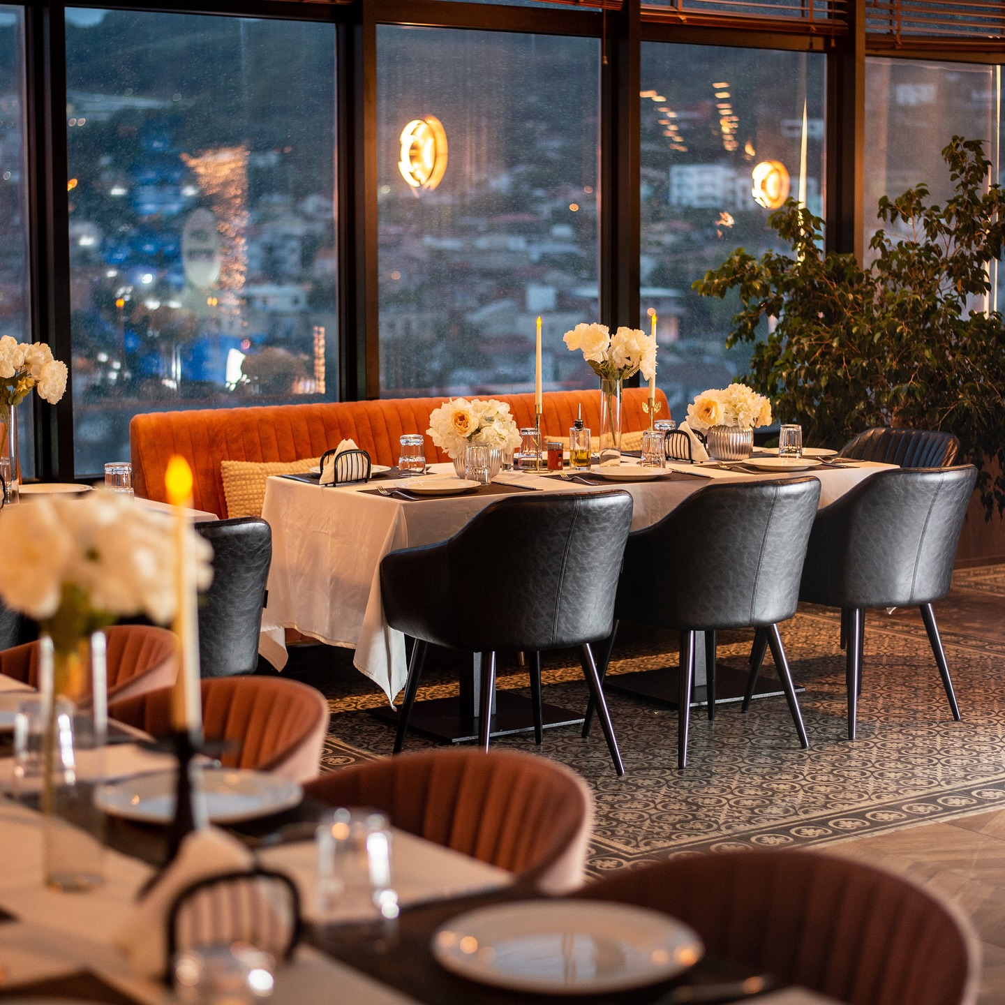 ______________________________bar-piceri-tirane-12