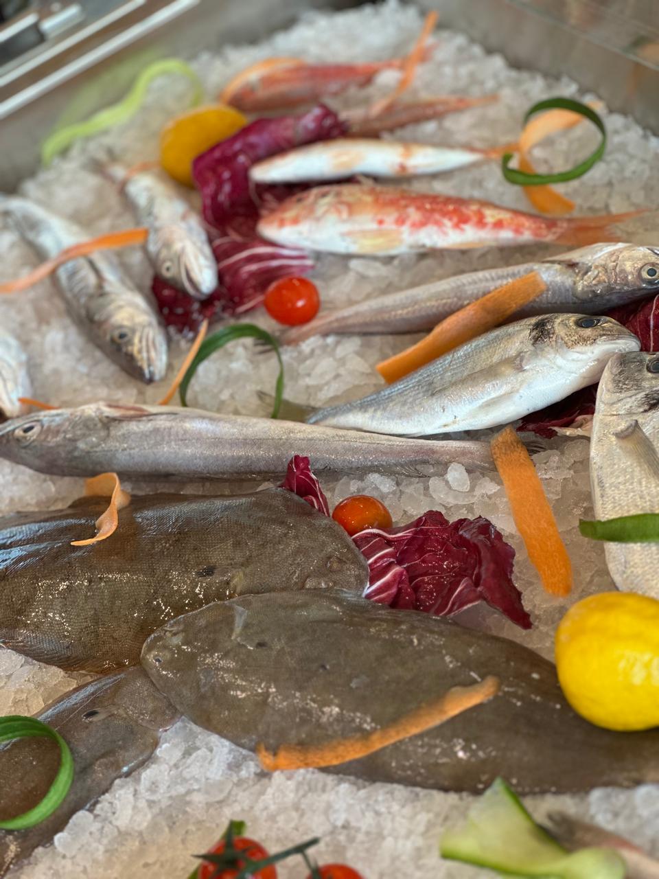 BONSAI-RESTAURANT-SARANDE4.jfif
