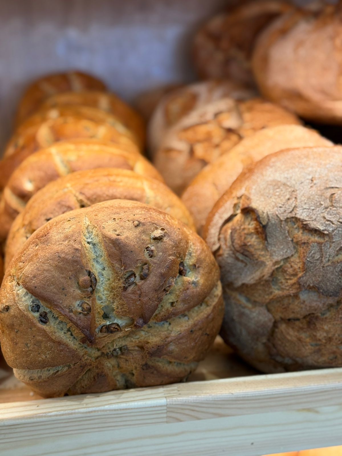 FURRE-BUKE-5KATESHIA2