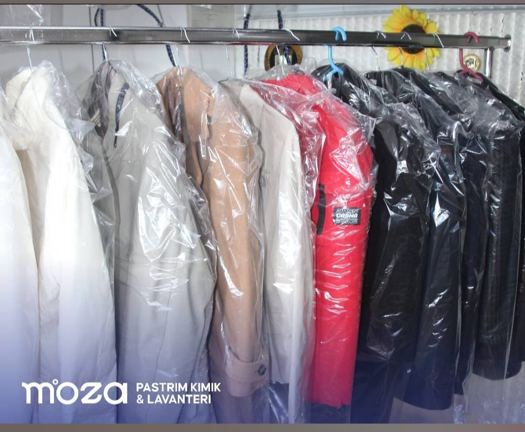 Lavanderi-Moza6