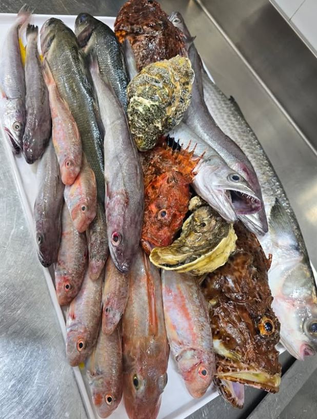 fish-place-ksamil14