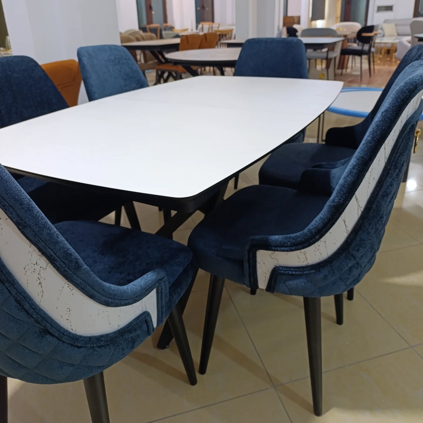 __________________MOBILJE-SHUMICE-TAVOLINA-KARIKE-19