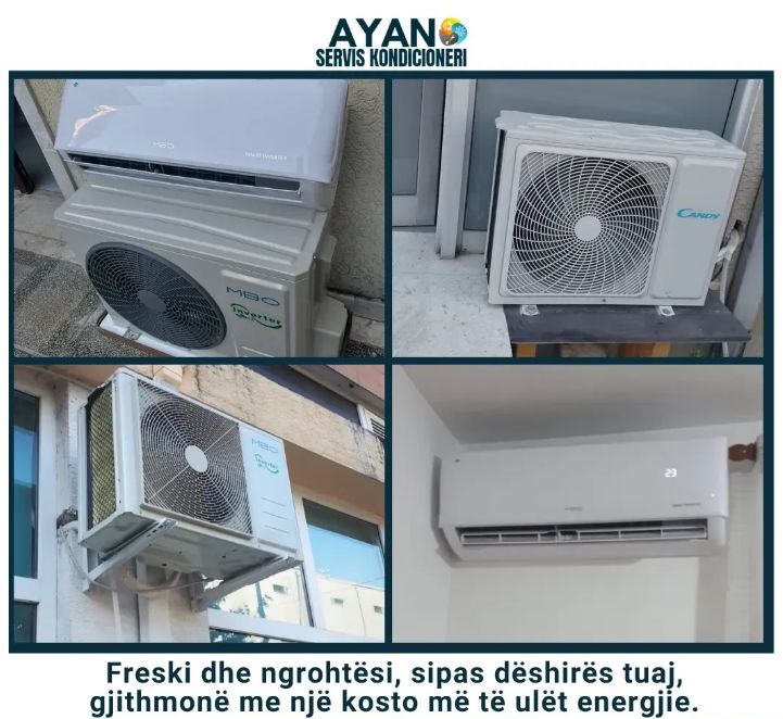 _____________________AYAN-12