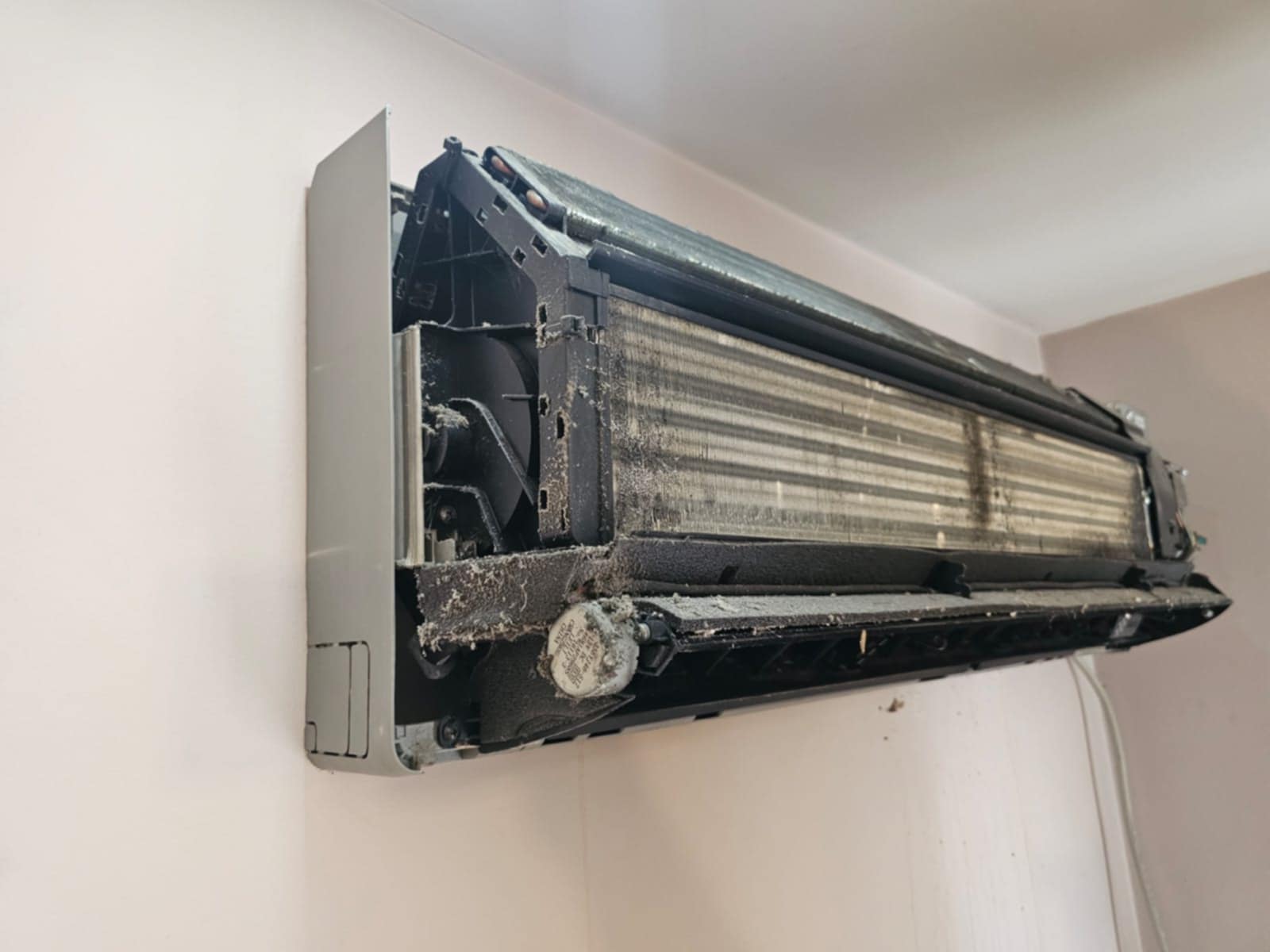 ____________larje-pastrim-kondicioneri-15