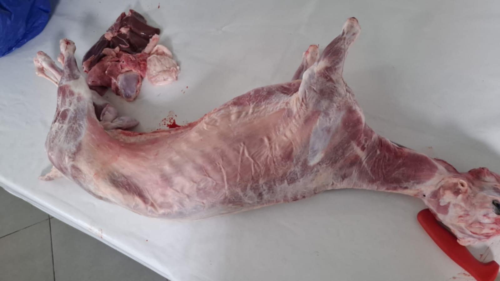 ____restorant-shkoder-1911