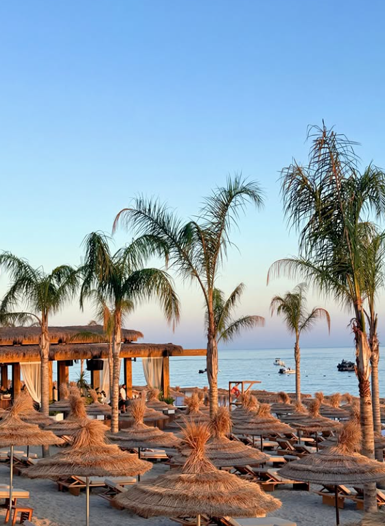 MORINA-PALACE-DHERMI2