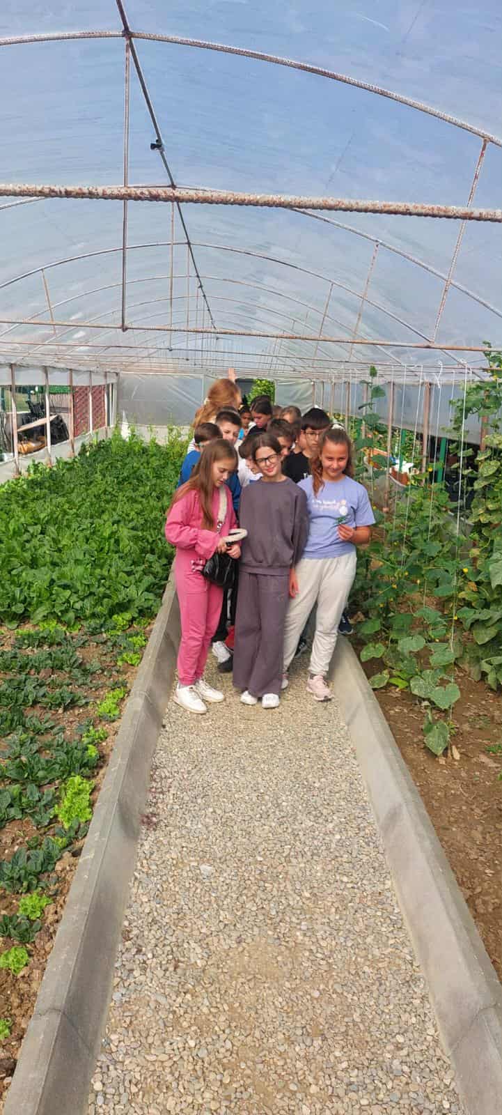 45d09c8d-fd6f-46e6-85af-bc97aa8360c0