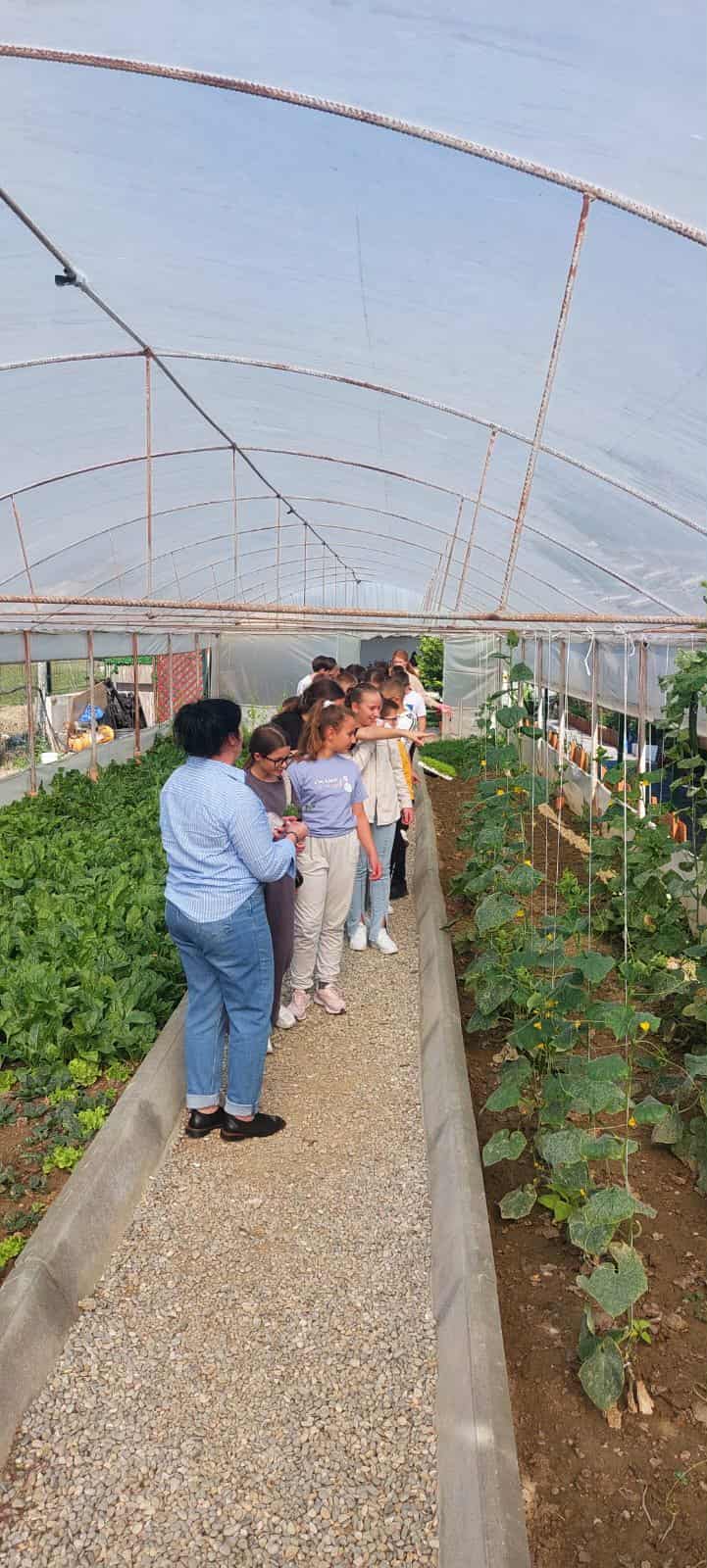 50ff6e97-23bc-4552-a132-48813472eba1