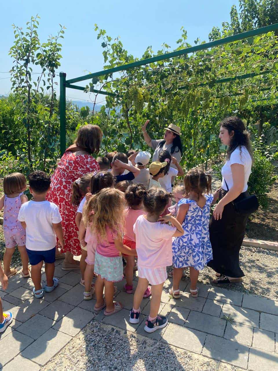 90c6e480-f5b5-4aac-9dd1-eed43186b4c4