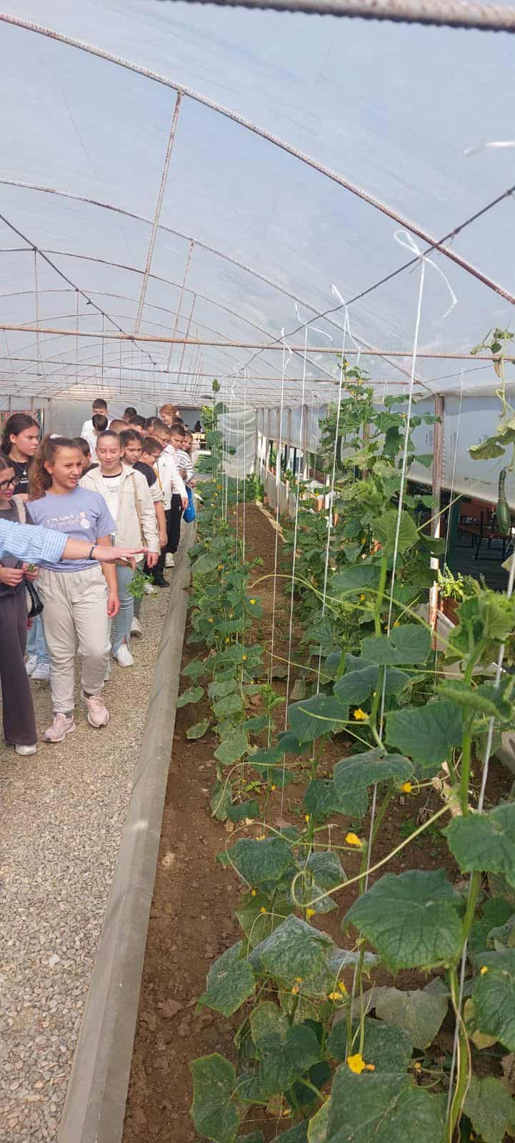 9312826d-1193-4b4b-9905-165a5785bca2