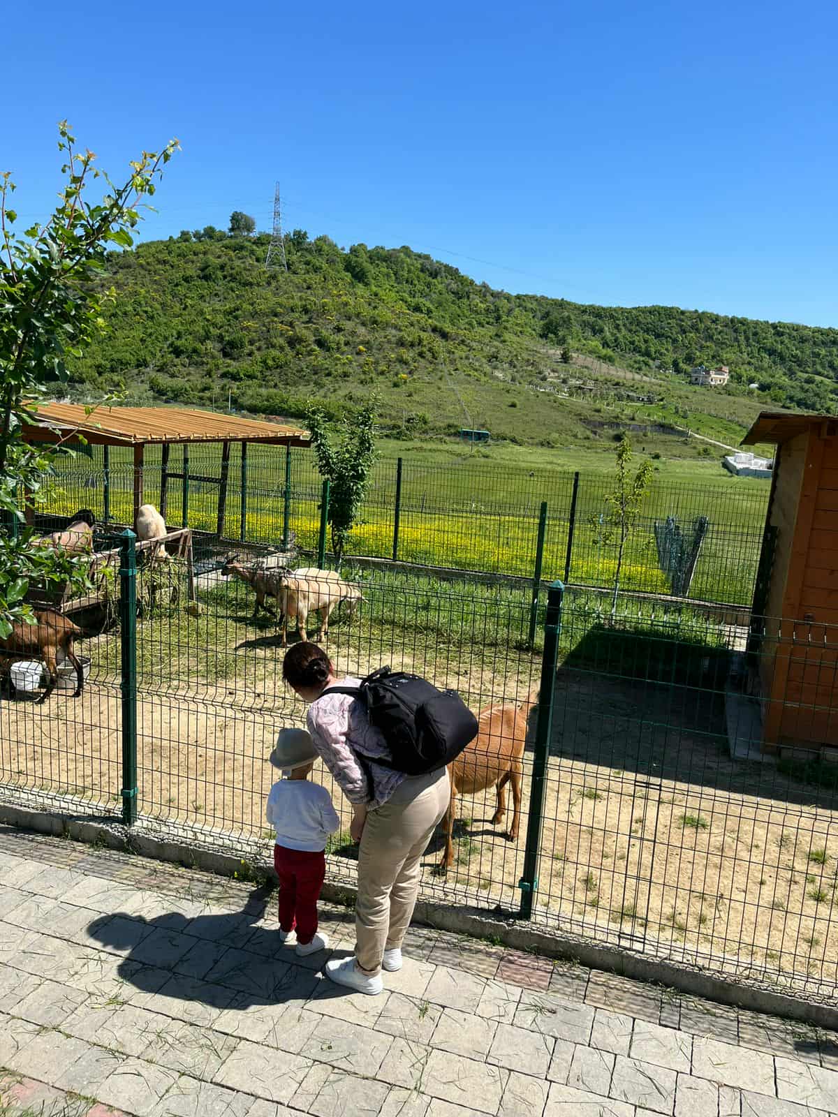 RESTORANT-FERMA-TIRANE-KOPSHTE-FEMIJE-11