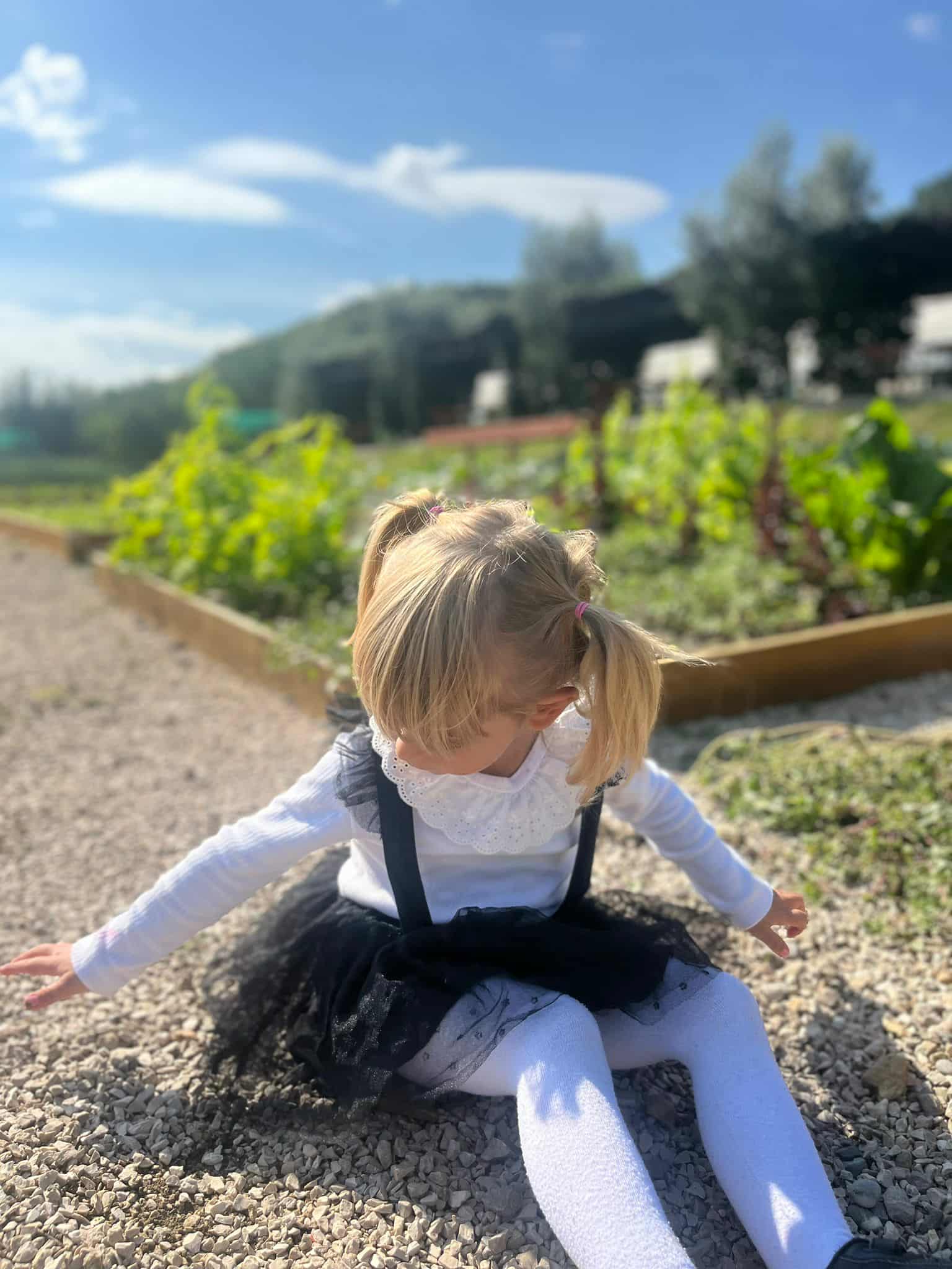 RESTORANT-FERMA-TIRANE-KOPSHTE-FEMIJE-16