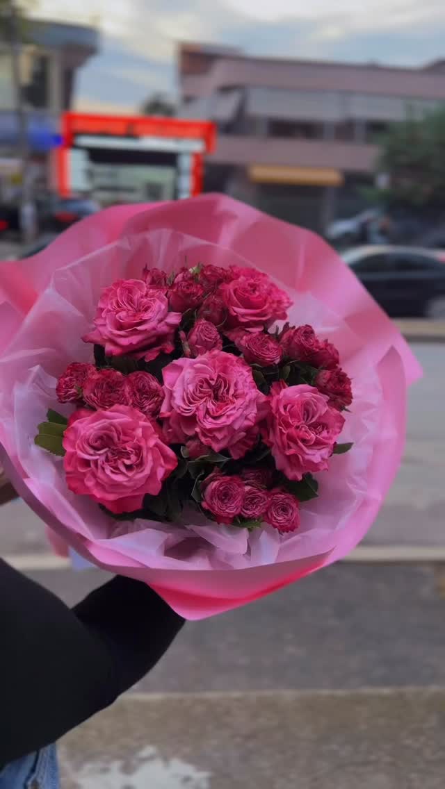 _______________LULE-DYQAN-LULESH-KAMEZ-INSTITUT-14