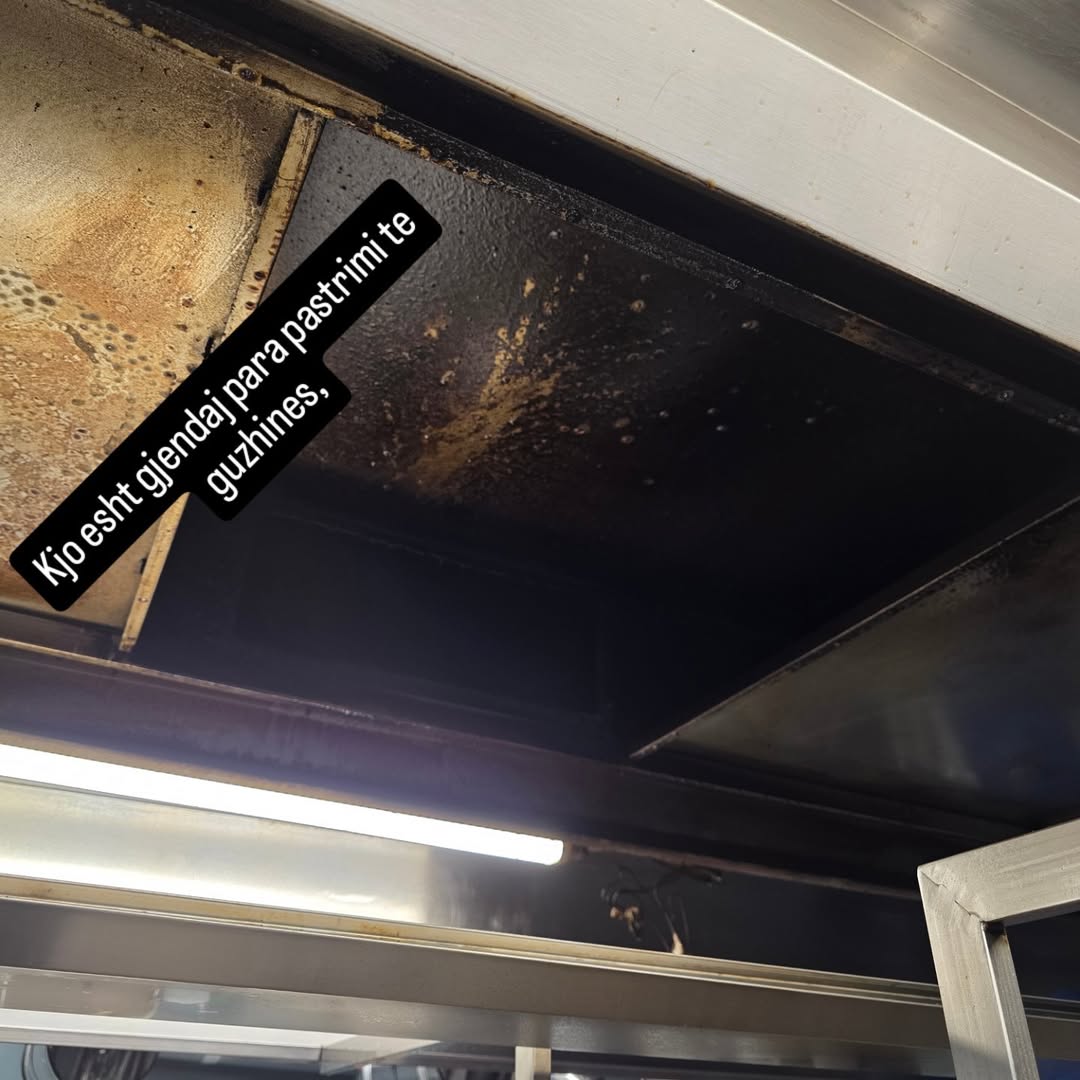 ______________kompani-pastrimi-dures-14