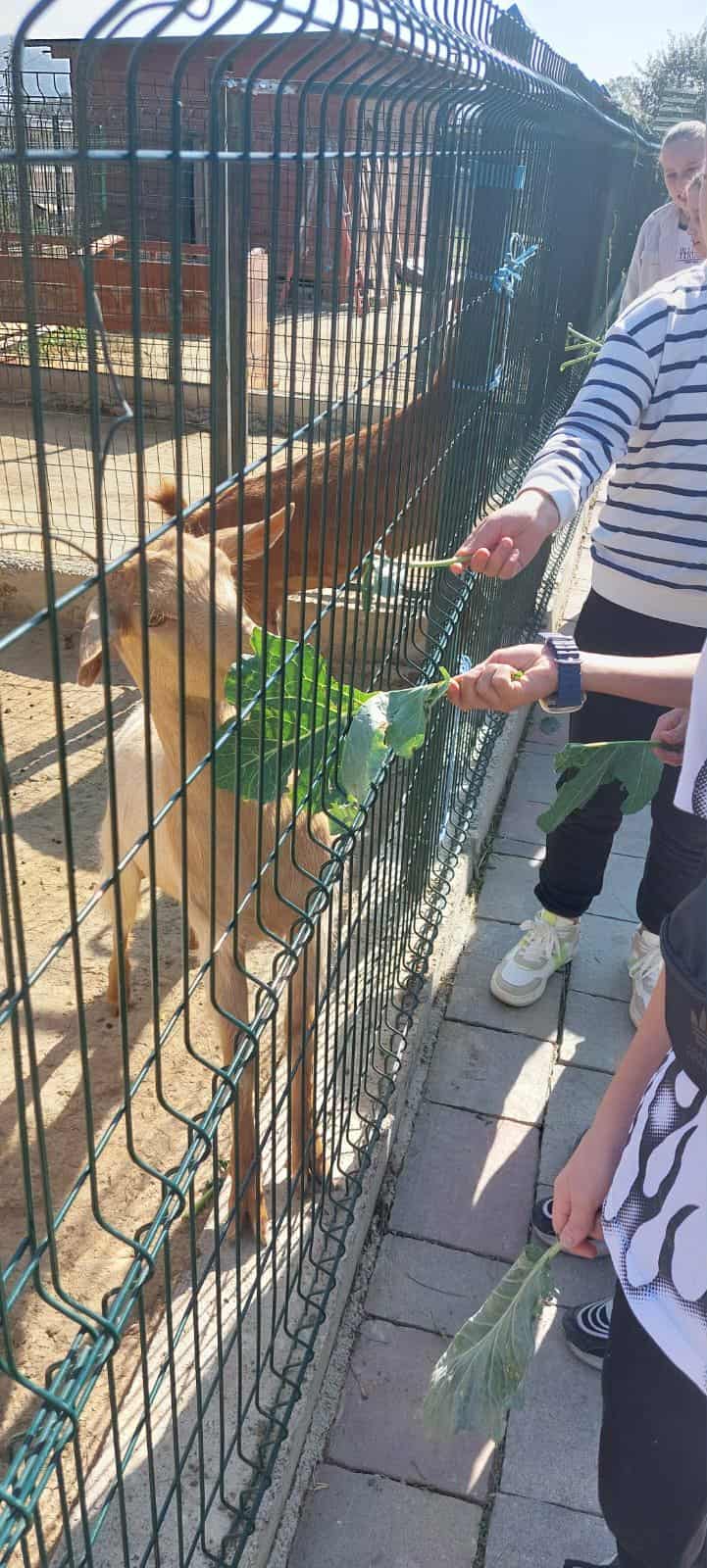 b3456650-72e1-4c82-90ac-92452f8bf0d5