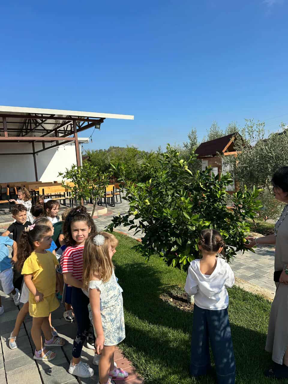 c27bbe3b-a838-42dc-bff5-314dedb3f349