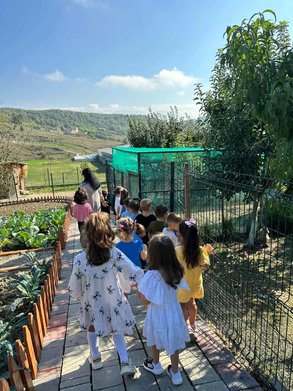 d74e179c-3548-4bd4-a59e-104af76cd2a1