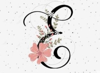 ____________eva-veshje-femrash-online-logo ____________eva-veshje-femrash-online-logo