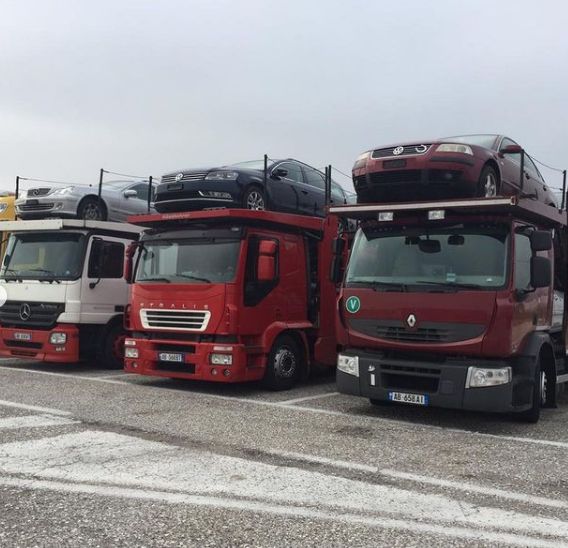 ________autotrasport-makinash-zvicer-11 ________autotrasport-makinash-zvicer-11