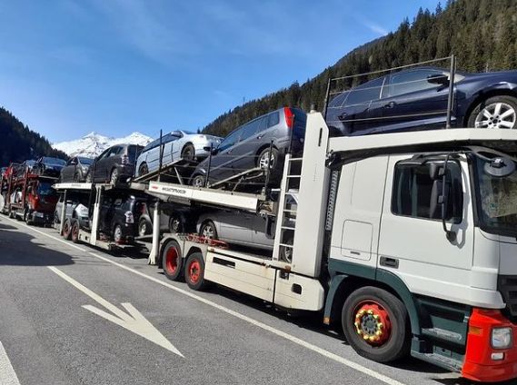 ________autotrasport-makinash-zvicer-13 ________autotrasport-makinash-zvicer-13