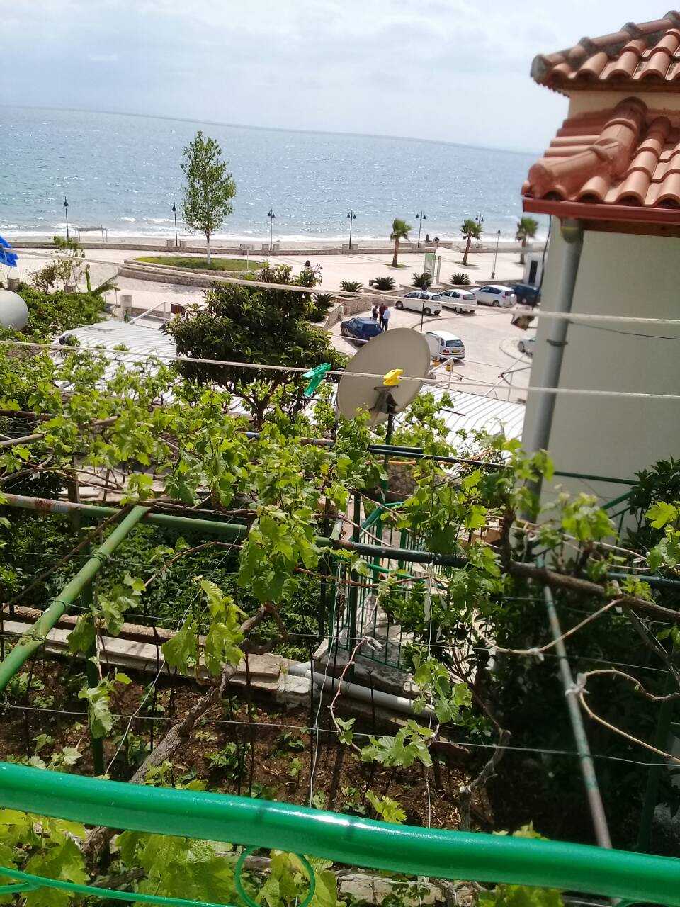 0___________________________________________________________________________________________________________________________________________________________________________________________________________________0qeparo5