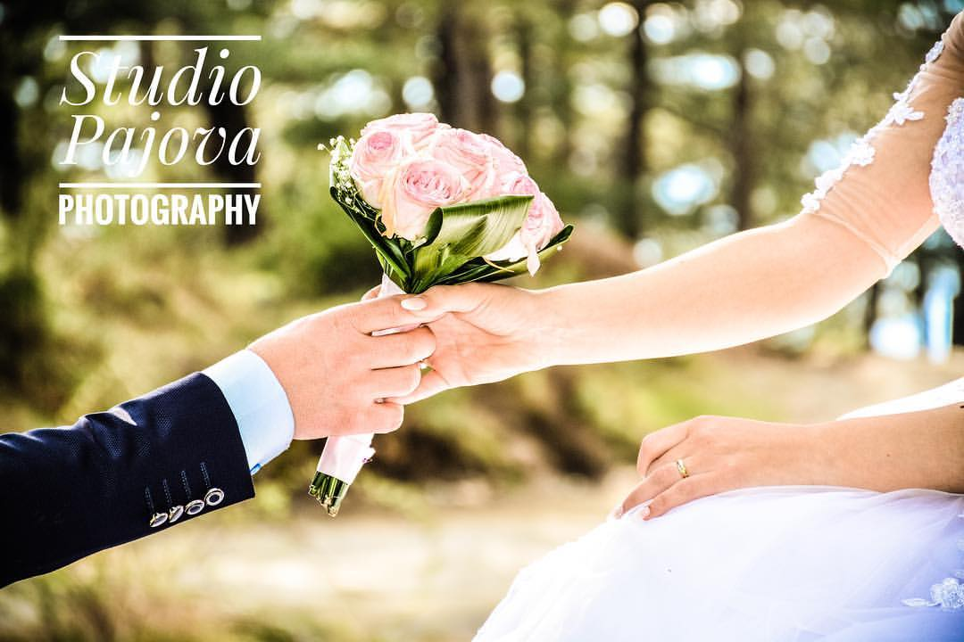 STUDIO-FOTOGRAFIKE-PAJOVA STUDIO-FOTOGRAFIKE-PAJOVA