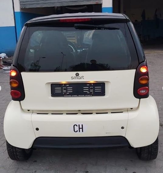 _shitet-smarti-6