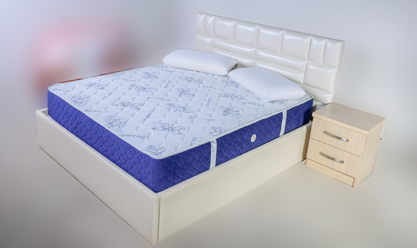0-0-0-0-0-0-0-ARTFLEX-DYQAN-DYSHEKE-NE-SHKODER-7