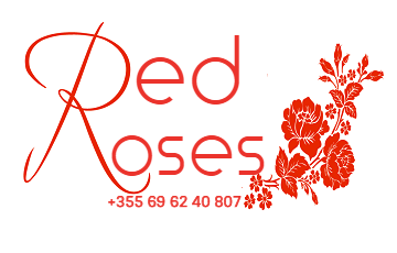 0-0-0-RED-ROSES-DYQAN-LULESH-TIRANE-LOGOOO 0-0-0-RED-ROSES-DYQAN-LULESH-TIRANE-LOGOOO