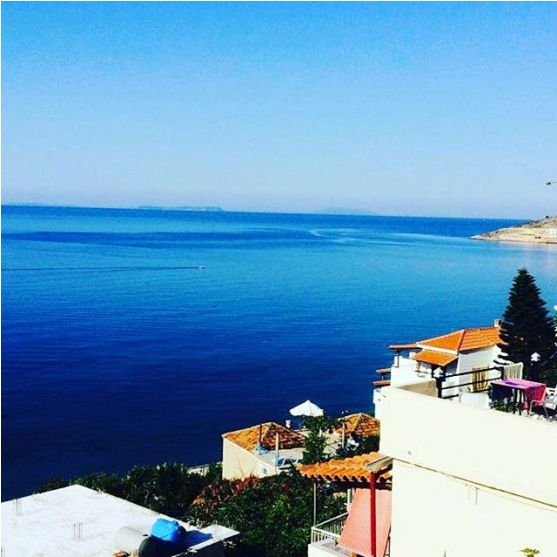 0000000000000000000.napolon1