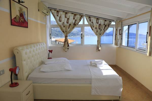 0000000000000000000000.napolon5