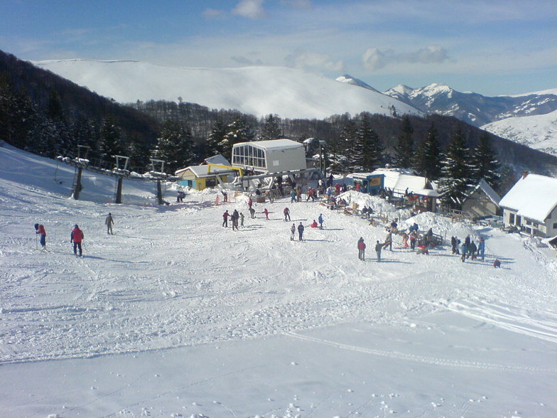 00.4Brezovica25168202154