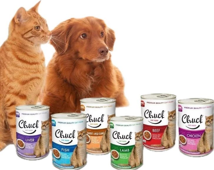 ____________________DYQAN-KAFSHESH-TIRANE-001