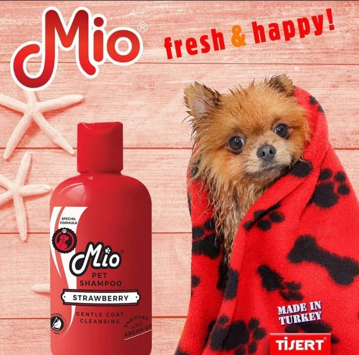 ____________________DYQAN-KAFSHESH-TIRANE-1