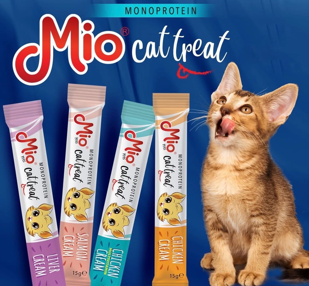 ____________________DYQAN-KAFSHESH-TIRANE-122