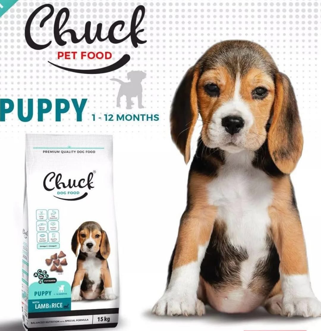 ____________________DYQAN-KAFSHESH-TIRANE-131