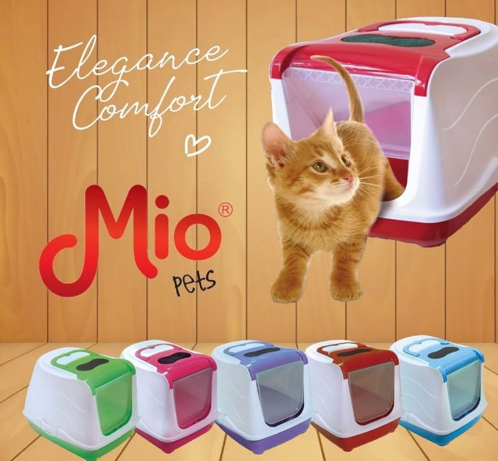 ____________________DYQAN-KAFSHESH-TIRANE-15