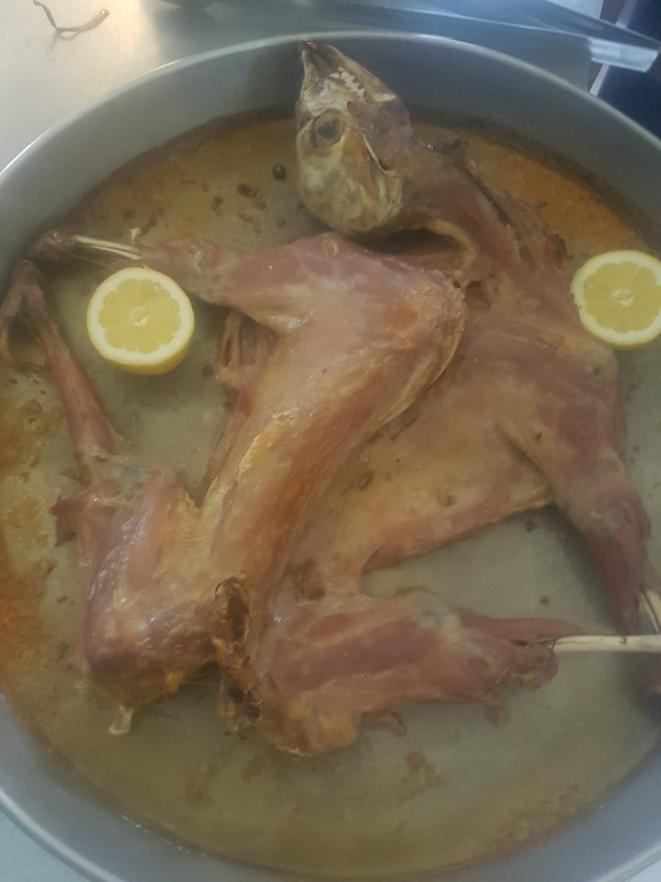 0---------------RESTORANT-PISHA-10
