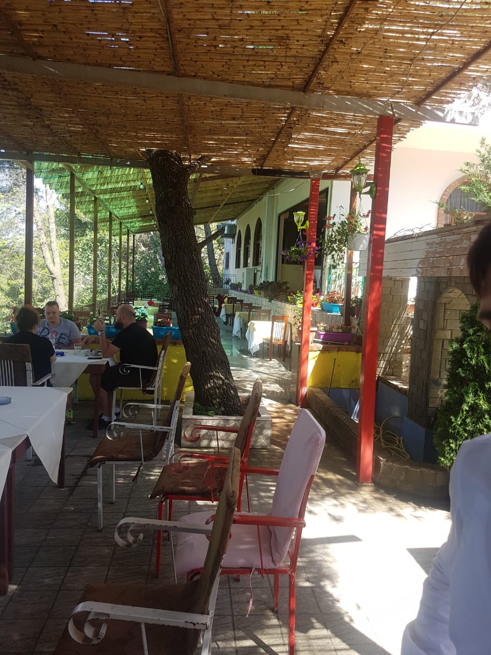 0---------------RESTORANT-PISHA-16
