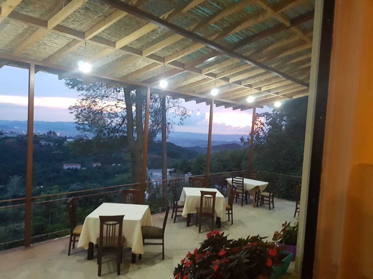 0---------------RESTORANT-PISHA-5
