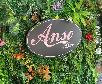 anso-bar-tirane-l anso-bar-tirane-l