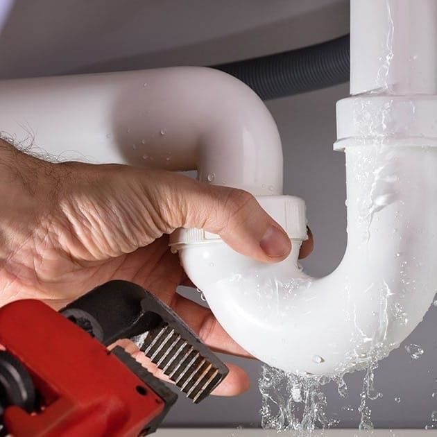 ZHBLLOKIM-BANJOSH-14